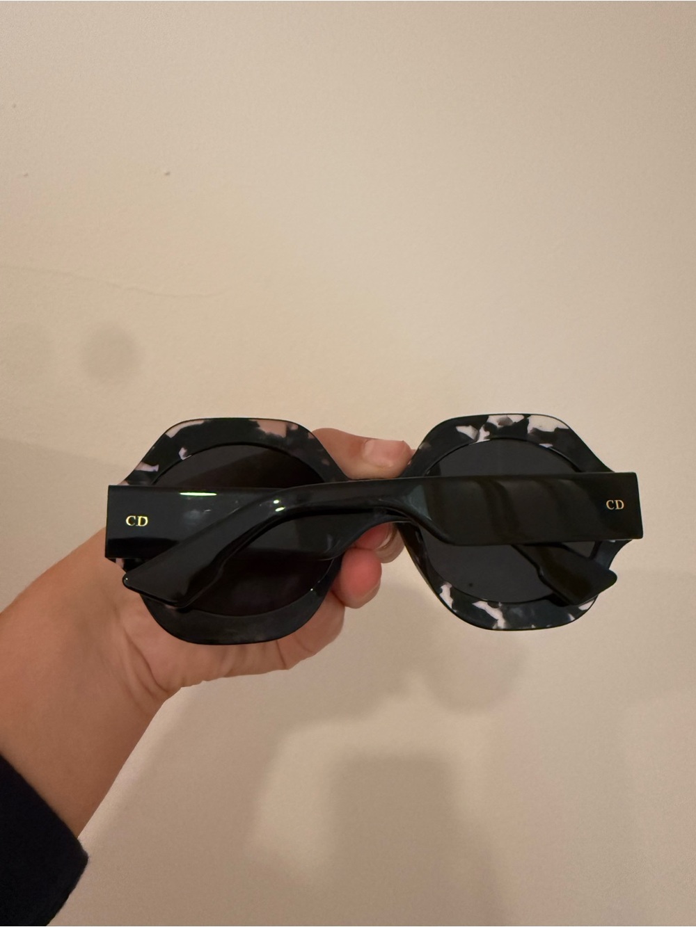 Dior Sunglasses DiorSpirit1